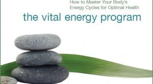 The Vital Energy Program